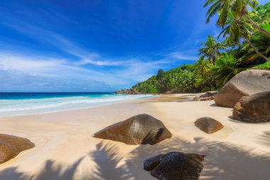 Cennet adası. Okyanustaki tropikal adada palmiye ağaçları ve güzel kayalarla güneşli bir sahil. Seyşeller.
