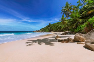 Cennet adası. Okyanustaki tropikal adada palmiye ağaçları ve güzel kayalarla güneşli bir sahil. Seyşeller.