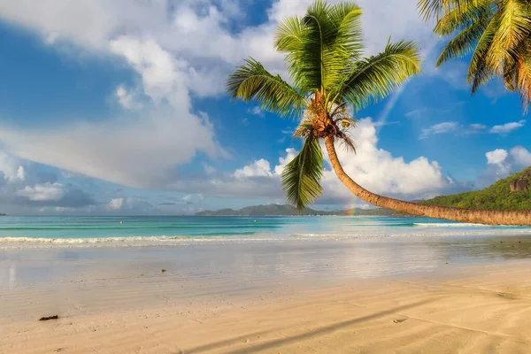 Incredible Sunny Beach Coco Palms Turquoise Sea Praslin Island Seychelles — Stock Photo, Image