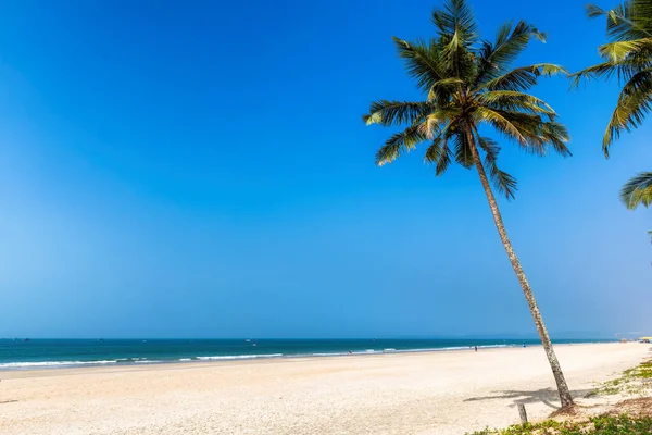 Tropical Beach Coconut Palm Trees White Sand Blue Ocean Blue — Stock Photo, Image
