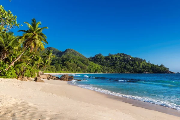 Coco Palmen Zonnig Strand Turquoise Zee Bij Zonsondergang Het Paradijs — Stockfoto