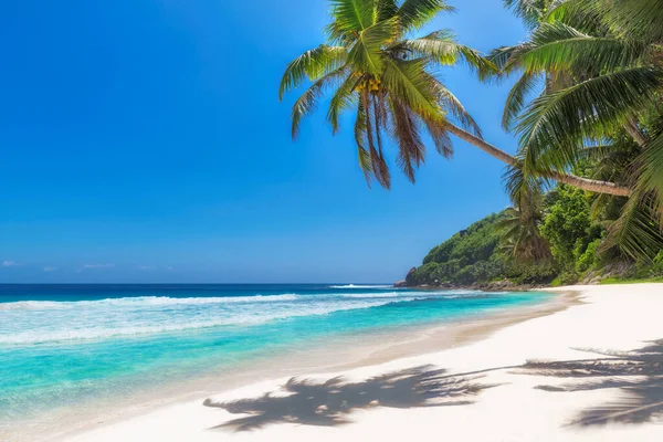 Kokosové Palmy Slunné Pláži Tyrkysové Moře Jamajském Ráji Letní Dovolená — Stock fotografie