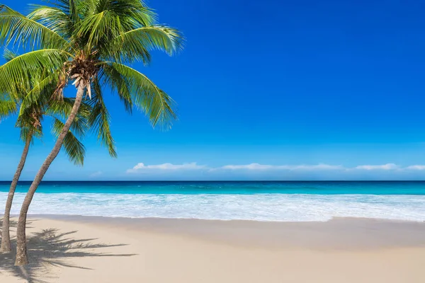 Schöner Strand Mit Kokospalmen Und Türkisfarbenem Meer Auf Der Karibik Stockfoto