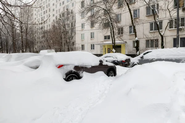 冬天雪覆盖了城里的汽车和树木 大雪中的景色 — 图库照片