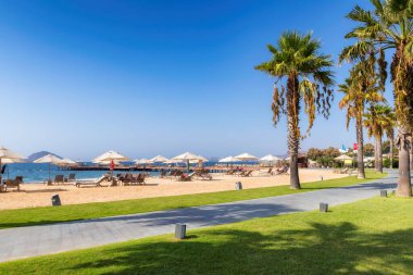 Turgutreis, Bodrum, Türkiye 'de güneş şemsiyeleri ve Ege Denizi ile güzel plajlarda palmiye ağaçları