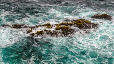 Plaj ve Falls, Julia Pfeiffer Beach, Mcway Falls, Kaliforniya