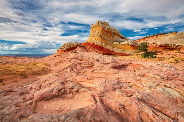 Plateau de grès blanc et rouge, falaises vertes . — Photo