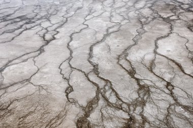 Volkanik bahar doğal doku