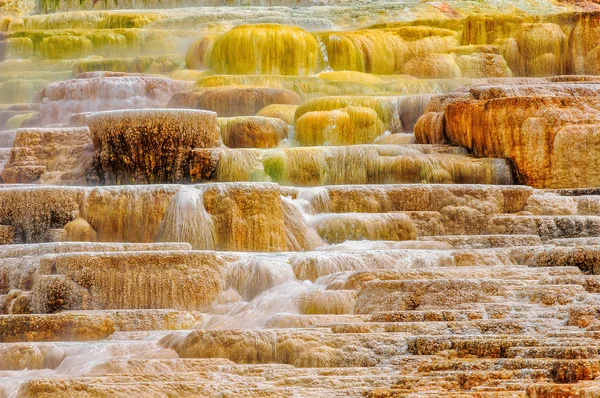 Yellowstone, trawertyn taras, mamuta Hot Springs — Zdjęcie stockowe