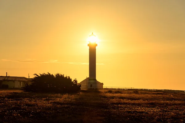 Lighthouse sun beam at sunset. — Stock Photo, Image