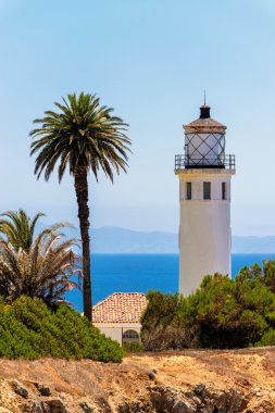 Lighthouse and palms in Los Angeles clipart