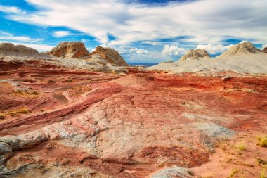 Plato beyaz cep, Arizona, ABD.