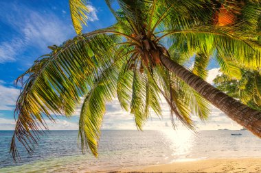 Cennet plaj tropikal ada Mahe, Seyşel Adaları