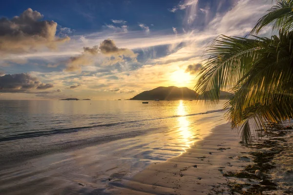 美丽的海滩，在塞舌尔普拉兰岛上的棕榈树 — 图库照片