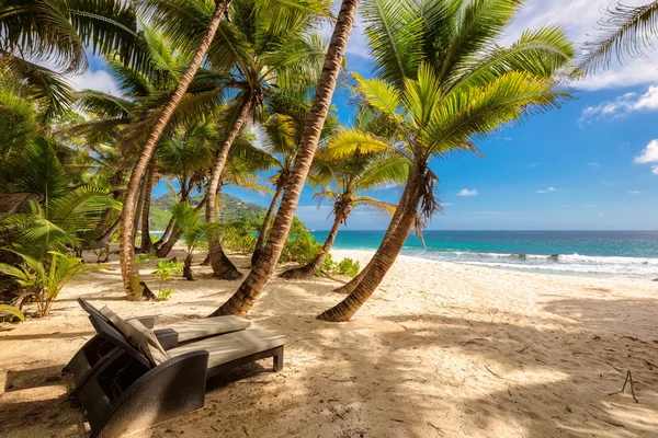 Пляж с пляжным шезлонгом на Сейшелах — стоковое фото