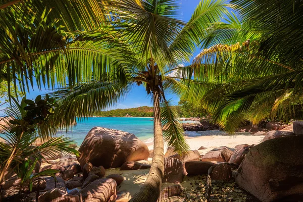 Spiaggia di Anse Lazio all'isola di Praslin, Seychelleson Spiaggia di Anse Lazio all'isola di Praslin, Seychelles — Foto Stock