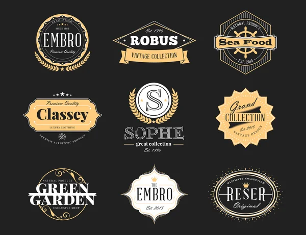 Conjunto de Emblemas Vintage Retro e Logotipos. Elementos de design vetorial, sinais de negócio, logotipos, identidade — Vetor de Stock