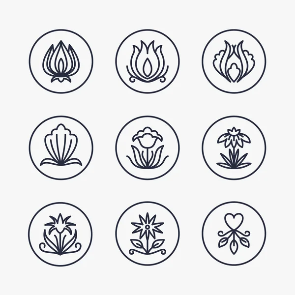 Vector Set of Thin Line Floral Design Elements for Logos — Stock Vector