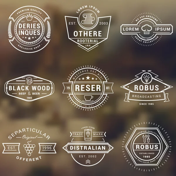Set of Hipster Vintage Labels, Logotypes, Badges for Your Business. Thin Line Design Template — Stock Vector