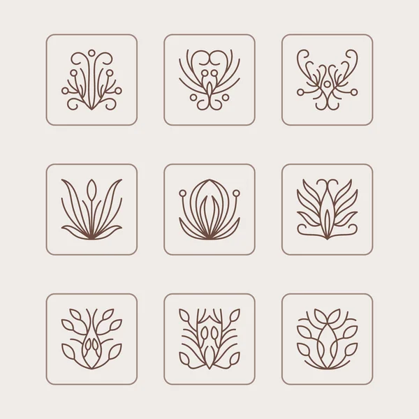 Vector Set of Thin Line Floral Design Elements for Logos — Stock Vector