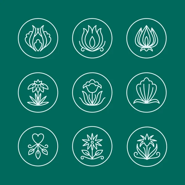 Векторный набор тонких линий цветочного дизайна для логотипов — стоковый вектор