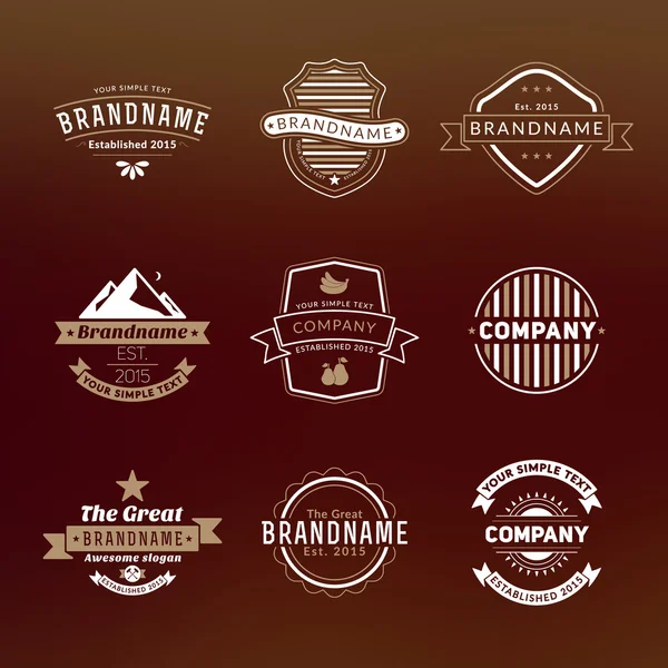 Set of Hipster Vintage Labels, Logotypes, Badges for Your Business — Stock Vector