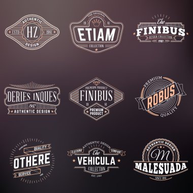 Dizi Hipster Vintage etiketleri, Logotypes, rozetleri. Arka plan bulanık ince çizgi tasarım şablonları