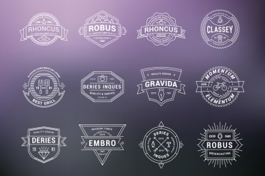 Dizi Hipster Vintage etiketleri, Logotypes, rozetleri. Arka plan bulanık ince çizgi tasarım şablonları