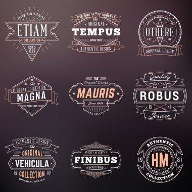 Dizi Hipster Vintage etiketleri, Logotypes, rozetleri. Arka plan bulanık ince çizgi tasarım şablonları