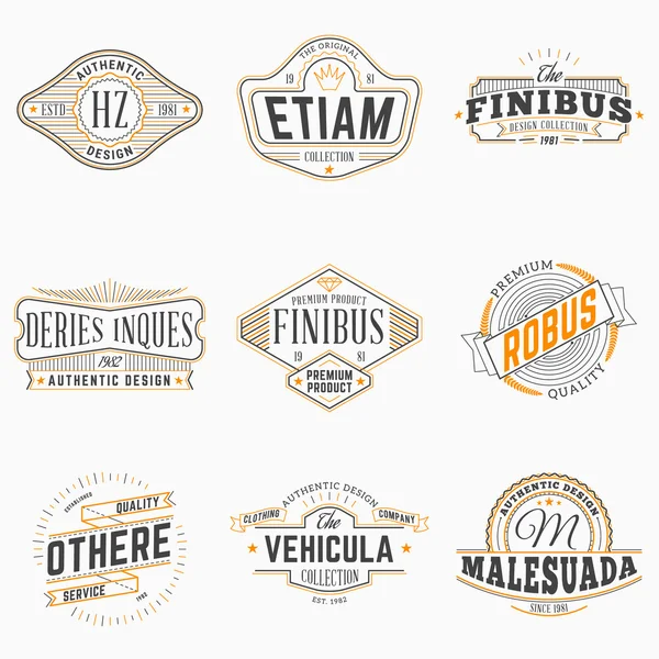 Set de Etiquetas Hipster Vintage, Logotipos, Insignias. Plantillas de diseño de línea delgada — Archivo Imágenes Vectoriales