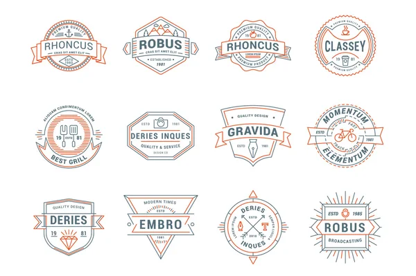 Zestaw Vintage etykiety Hipster, logotypy, odznaki. Cienka linia projektowanie szablonów — Wektor stockowy