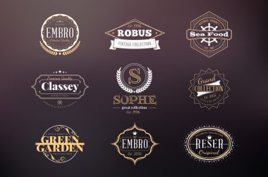 Set of Hipster Retro Badges, Labels, Logotypes. Vector Design Templates