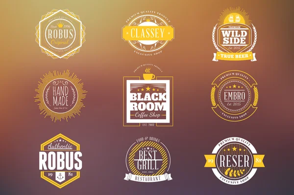 Set of Hipster Retro Badges, Labels, Logotypes. Vector Design Templates — 图库矢量图片