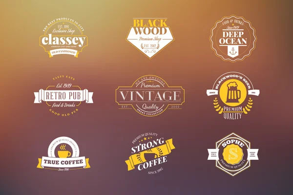 Set of Hipster Retro Badges, Labels, Logotypes. Vector Design Templates — ストックベクタ