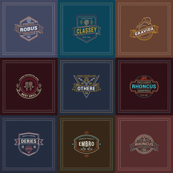 Set of Hipster Retro Badges, Labels, Logotypes. Vector Design Templates — 图库矢量图片