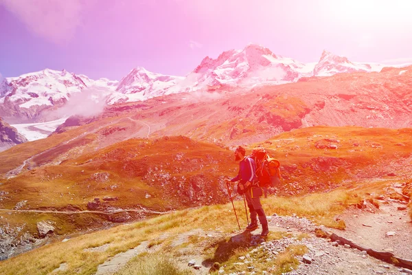 Hiker in the mountains — Stock Photo, Image