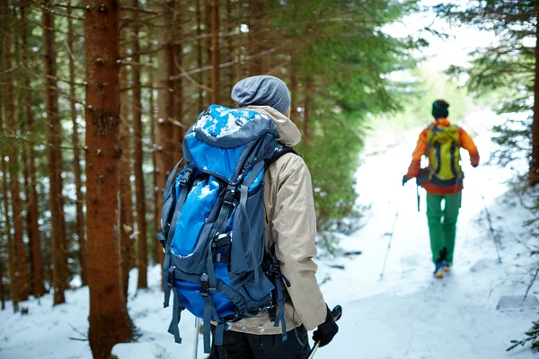 Randonneurs dans les montagnes d'hiver — Photo