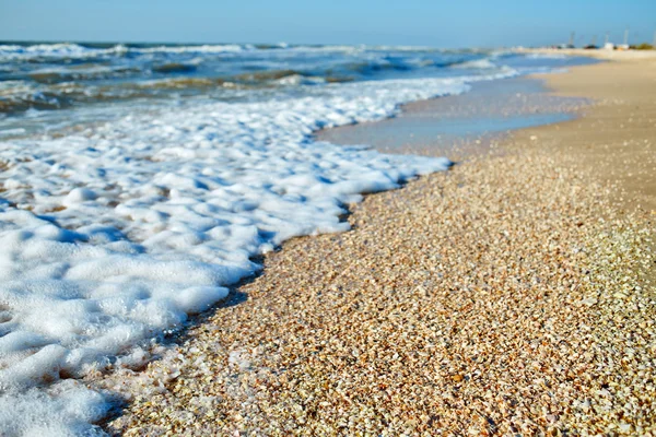 Strand med bølger – stockfoto