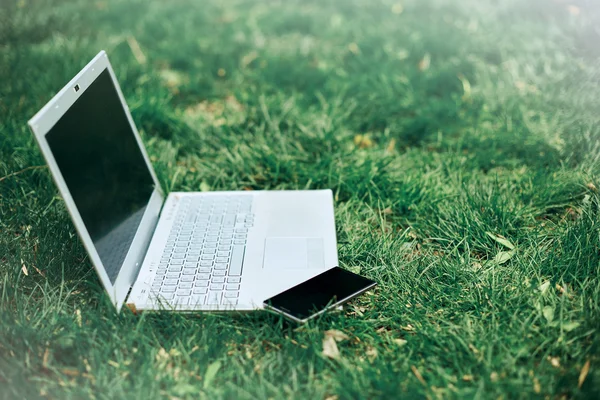Çimlerin üstünde laptop