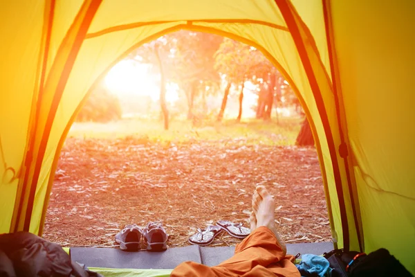 Telt i skogen – stockfoto