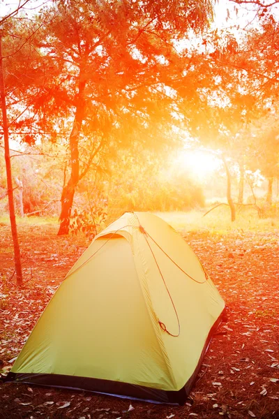 Tent in the forest — Stock Photo, Image