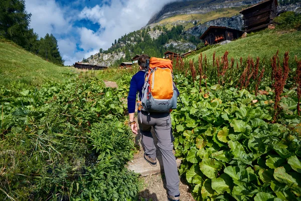 Wanderer in den Bergen — Stockfoto
