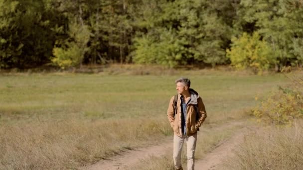 Escursionista turistico uomo nella foresta con zaino, passeggiate nei boschi in autunno. — Video Stock