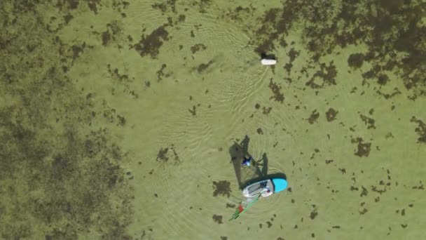 Légi kilátás windsurf oktató tanít nő állni szörfdeszka vitorla a sekély víz. — Stock videók