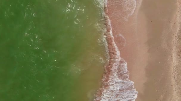 空中からの眺め砂浜と緑色のターコイズブルーの水 — ストック動画
