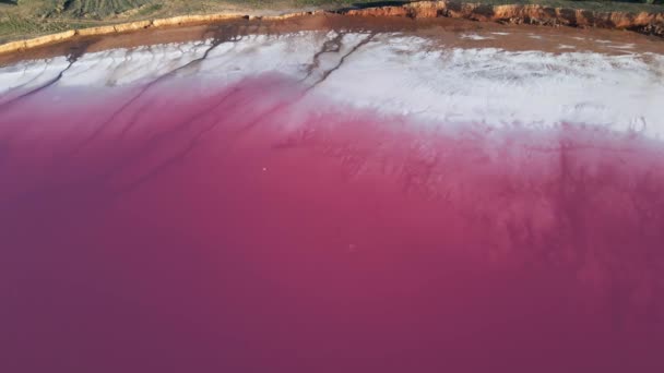 Luftaufnahme eines erstaunlichen farbenfrohen Sees mit weißer Salzküste und rosa Wasser — Stockvideo