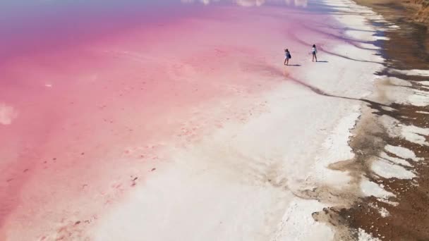 Zeezicht prachtig geweldig meer met droog zout strand en roze water — Stockvideo