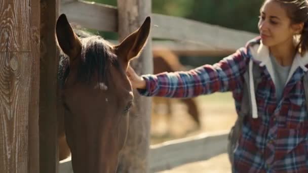 Лошадь у деревянного забора на ферме и молодая девушка — стоковое видео