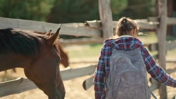 Mulher e cavalo em cerca de madeira na fazenda e menina — Vídeo de Stock