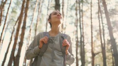 Sırt çantalı çekici bir kadın yürüyüşçü çam ormanlarında geziniyor.